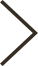 Slider Arrow Next